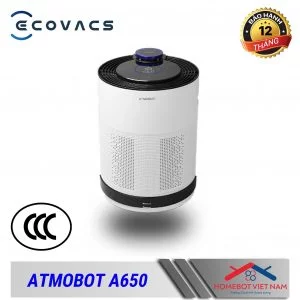650 Ccc