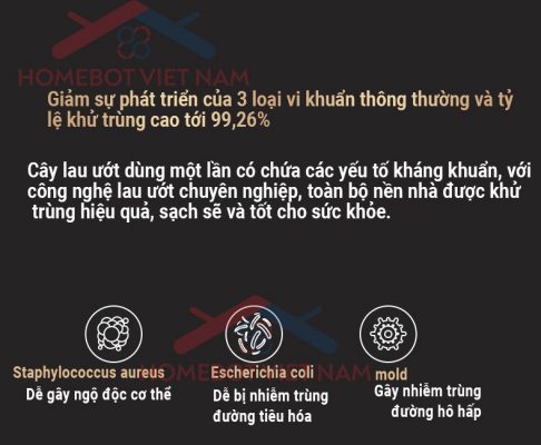 DEEBOT N5S GO giảm sự phát triển của vi khuẩn.